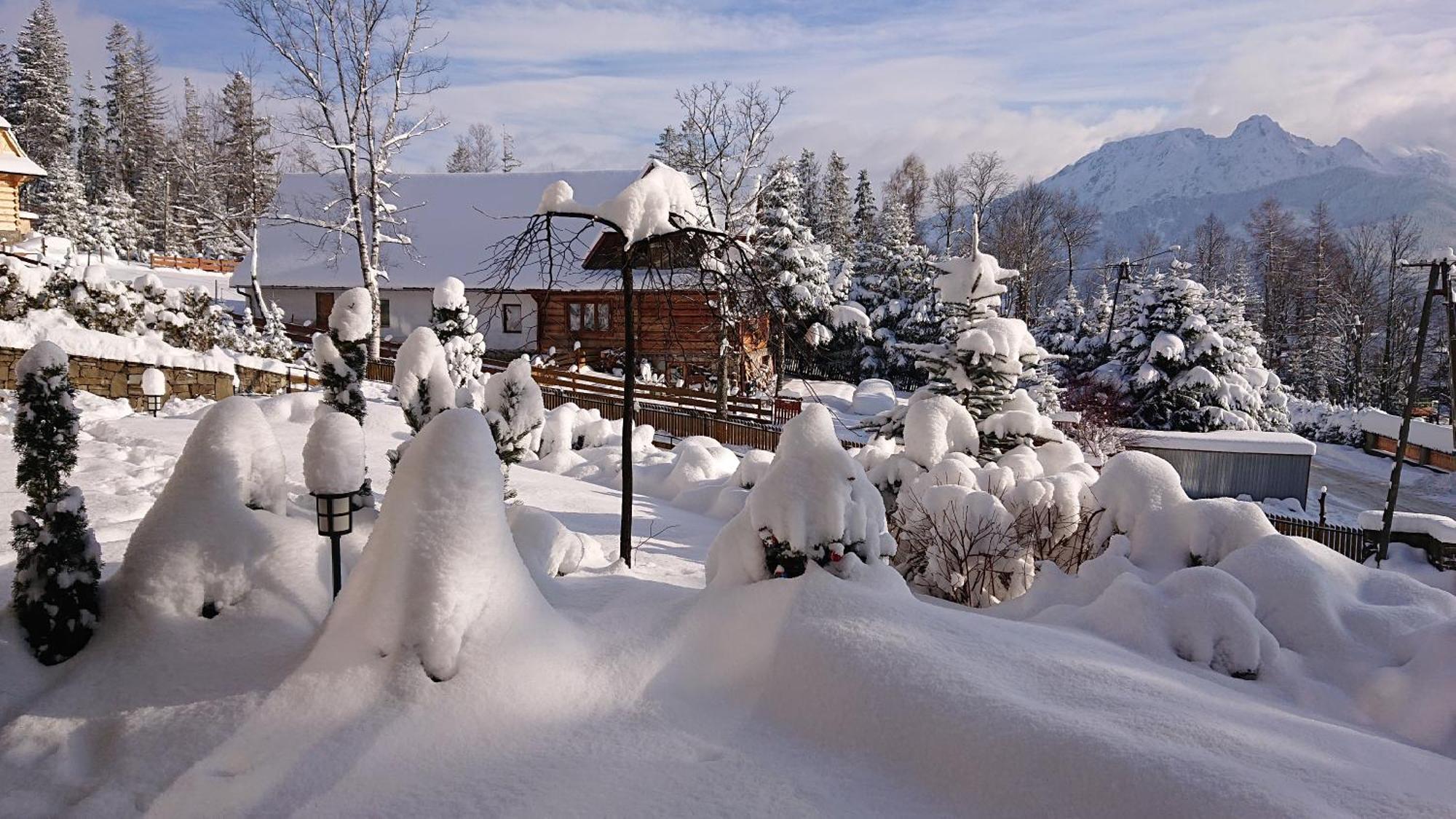 Apartament Z Widokowym Tarasem Na Tatry Kościelisko Exterior foto